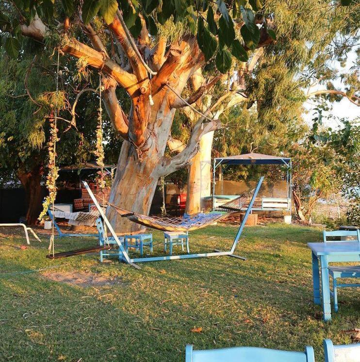 Okaliptus Butik Hotel Fethiye Buitenkant foto