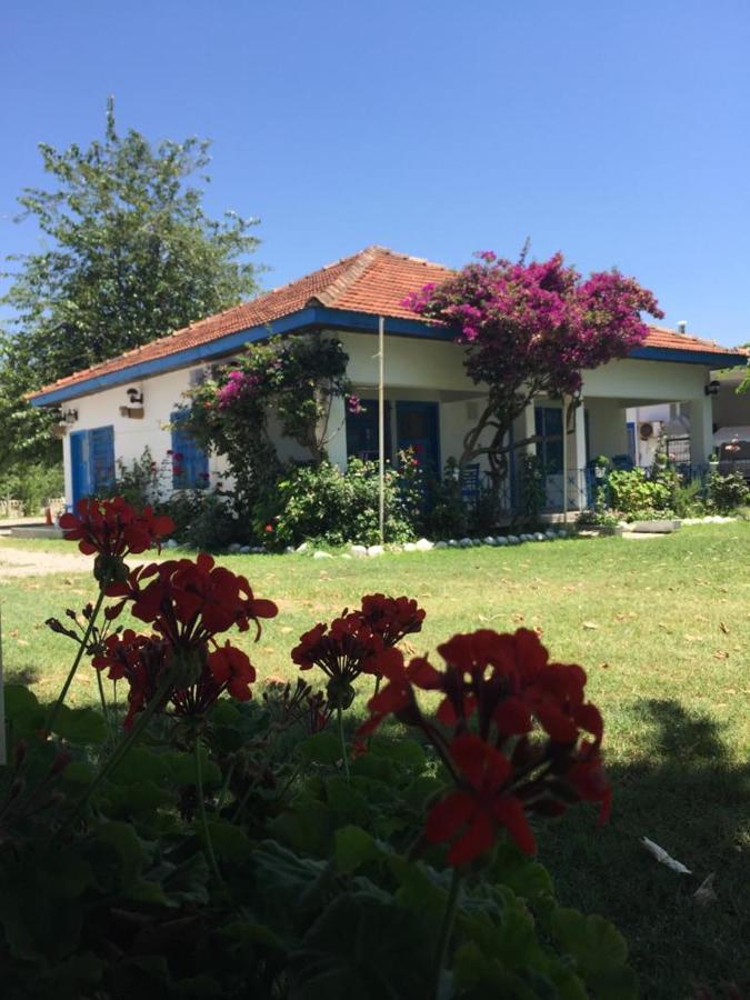 Okaliptus Butik Hotel Fethiye Buitenkant foto